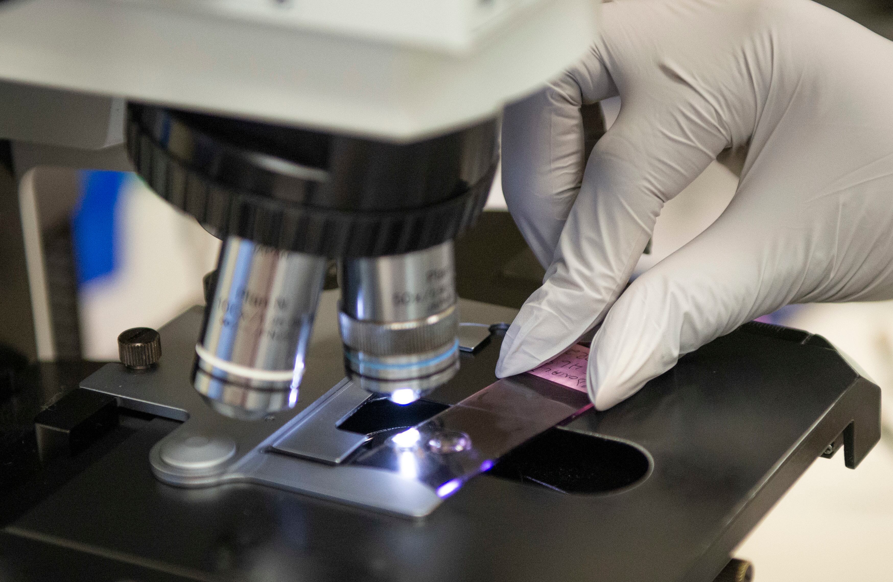 A medical laboratory technician examines a slide under a microscope inside the Wright-Patterson Air Force Base, Ohio Medical Center, April, 28, 2021.